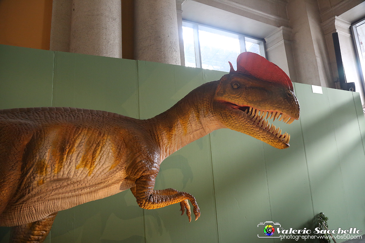 VBS_0938 - Dinosauri. Terra dei giganti.jpg